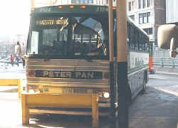 boston-peterpan.JPG (44111 bytes)