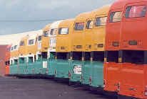 rear-atlanteans.JPG (47956 bytes)